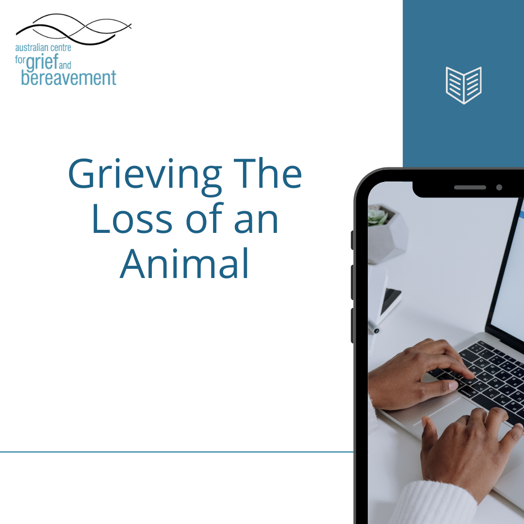 Grieving the Loss of An Animal