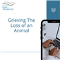 Grieving the Loss of An Animal